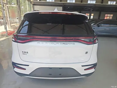 2021 BYD Tang New Energy DM-i 112KM Premium, фото 4, лот 10272481