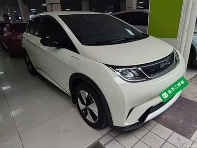 2023 BYD Dolphin 420km Freedom Edition, фото 4, лот 10264403