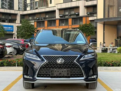 2020 Lexus RX 300 4WD Elegance Edition China VI, фото 2, лот 10319500