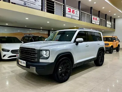 2024 Haval Meng Long NEV Hi4 102 Pro, фото 1, лот 10403583