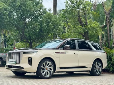 2022 Hongqi E-HS9 660km Qi Ling Edition (4-seater), фото 1, лот 10307289