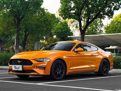 2019 Ford Mustang 2.3L EcoBoost, фото 1, лот 11512489