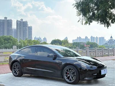 2021 Tesla Model 3 Standard Range Rear-Wheel Drive Upgrade 3D6, фото 3, лот 10837627