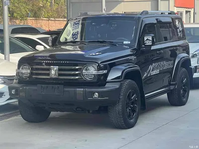 2021 Tank 300 Urban Edition 2.0T Stylish, фото 1, лот 11203962