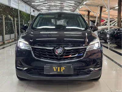 2020 Buick Envision Plus 20T FWD Luxury, фото 2, лот 10364358