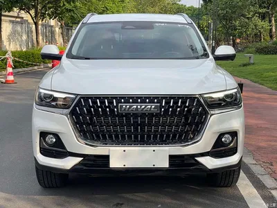 2023 Haval H6 National Trend Edition 1.5T Automatic Champion, фото 2, лот 10381444