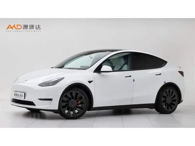2022 Tesla Model Y Performance High-Performance All-Wheel Drive Version, фото 1, лот 10898873
