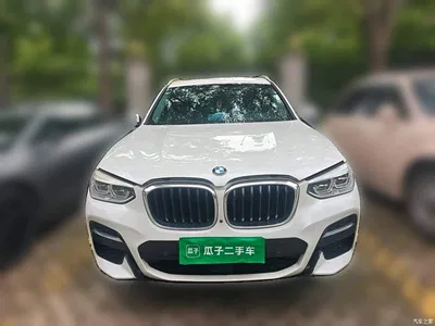 2020 BMW X3 xDrive30i Leading M Sport Package, фото 3, лот 10461849