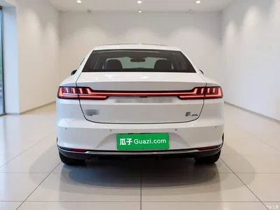 2020 BYD Han DM AWD Performance Premium, фото 3, лот 10624796
