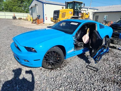 2013 FORD MUSTANG, фото 1, лот 10569838