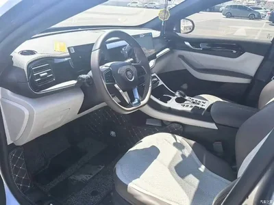 2024 BYD Qin PLUS Glory Edition DM-i 55KM Leading, фото 4, лот 10956978