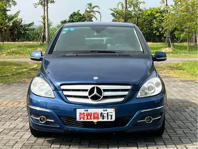 2009 Mercedes-Benz B-Class B 200 Fashion, фото 2, лот 10287547