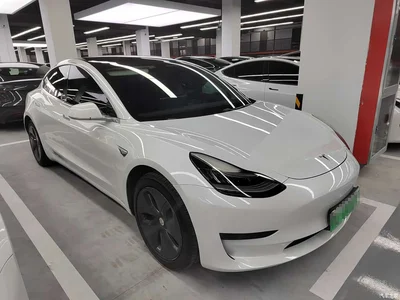 2020 Tesla Model 3 Standard Range Rear-Wheel Drive Upgrade, фото 3, лот 10360143