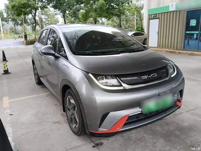 2021 BYD Dolphin Model 405km Fashion Edition, фото 4, лот 11250029