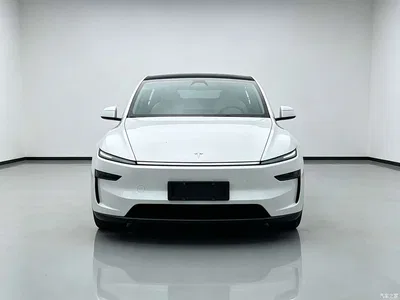 2025 Tesla Model Y Long Range All-Wheel Drive, фото 3, лот 10391965