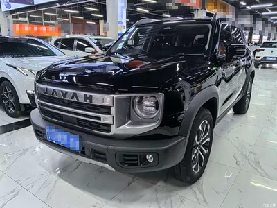 2024 Haval Big Dog 1.5T DCT Border Collie Edition, фото 1, лот 10361782