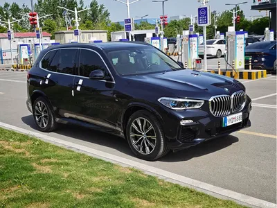 2021 BMW X5 New Energy(Imported) xDrive45e M Sport Package, фото 3, лот 10481466