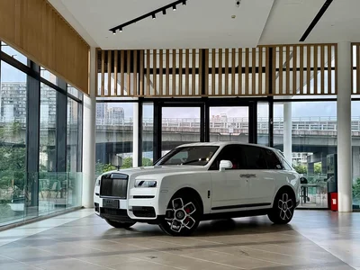 2018 Rolls-Royce Cullinan 4-Seater Version, фото 1, лот 10237548