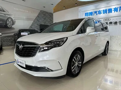 2021 Buick GL8 ES Landlord 653T Premium, фото 1, лот 10254070