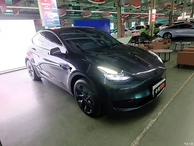 2024 Tesla Model Y Rear-Wheel Drive Version, фото 4, лот 10370210