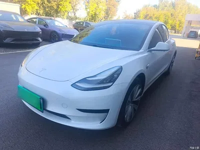 2019 Tesla Model 3 Standard Range Rear-Wheel Drive Upgrade, фото 1, лот 11012442