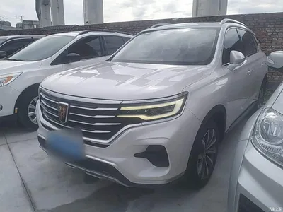 2019 Roewe RX5 MAX 300TGI Automatic 4G Connected Luxury Edition, фото 1, лот 10341261