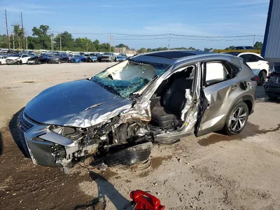 2019 LEXUS NX 300 BASE, фото 1, лот 10901023