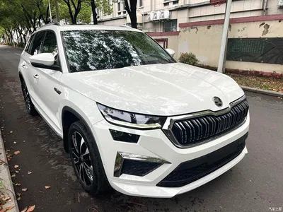 2022 Škoda Kodiaq TSI330 5-Seater 2WD Luxury Edition, фото 3, лот 10349016