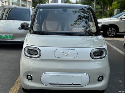 2024 Wuling Motors Hongguang MINIEV 3rd Generation 215km Youth Edition, фото 2, лот 10368010