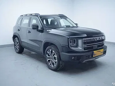 2024 Haval Big Dog 1.5T DCT Border Collie Edition, фото 2, лот 10417109