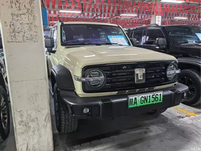 2025 Tank 300 New Energy Hi4-T, фото 3, лот 10344428