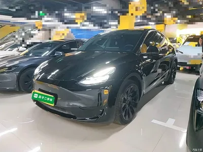 2022 Tesla Model Y Rear-Wheel Drive Version, фото 1, лот 10389925