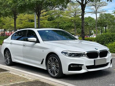 2018 BMW 5 Series Facelift 530Li Exclusive M Sport Package, фото 3, лот 11142728