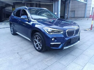 2019 BMW X1 xDrive20Li Premium Model, фото 4, лот 10467201
