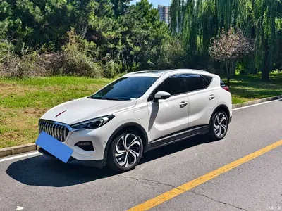 2019 Hongqi E-HS3 Smart Connection Flag Leader AWD Version, фото 1, лот 10448770