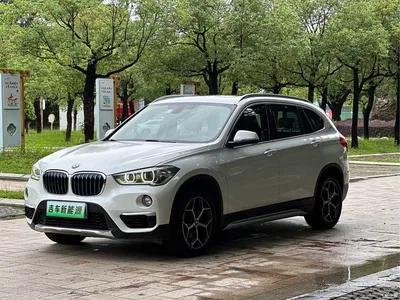 2018 BMW X1 New Energy xDrive25Le Luxury Model, фото 1, лот 10475367