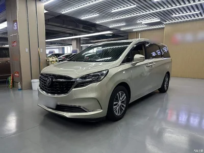 2021 Buick GL8 ES Landlord 653T Premium, фото 1, лот 10262301