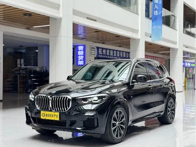 2019 BMW X5 (Import) xDrive30i M Sport Package, фото 1, лот 10402910