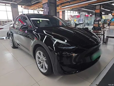 2022 Tesla Model Y Facelift Rear-Wheel Drive Version, фото 4, лот 10369969