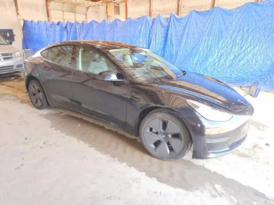 2023 TESLA MODEL 3, фото 4, лот 10854488