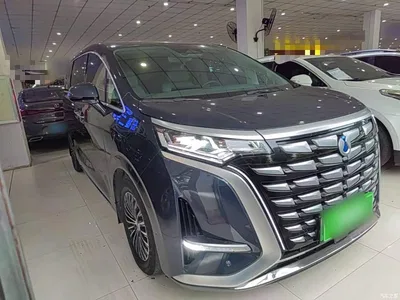 2022 Denza D9 DM-i 970 AWD Flagship, фото 4, лот 10346808