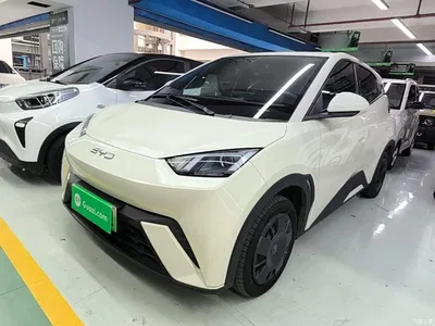 2024 BYD Seagull Glory Edition 305km Vitality Edition, фото 1, лот 11565269