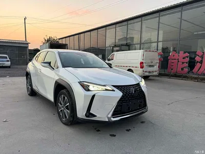 2020 Lexus UX Electric 300e Pure Enjoyment Edition, фото 3, лот 10405277