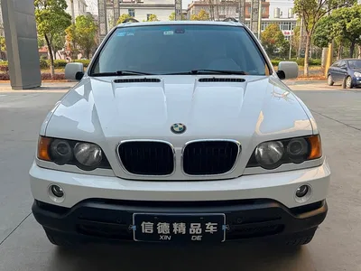 BMW X5 (Import), фото 1, лот 10463946