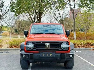 2021 Tank 300 Off-road Version 2.0T Conqueror, фото 2, лот 10345034