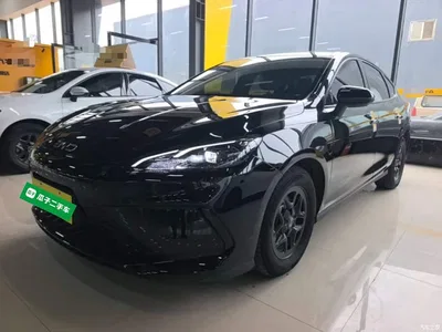 2025 BYD Hai Bao 05 DM-i DM-i Smart Drive Edition 55KM Luxury, фото 2, лот 10690031