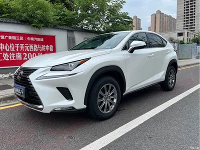 2020 Lexus NX 200 FWD Sharp Edition China VI, фото 1, лот 10317907