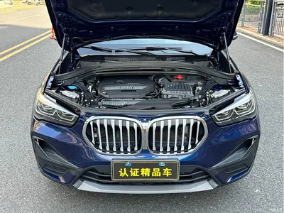 2020 BMW X1 sDrive25Li Leading Model, фото 4, лот 10817132