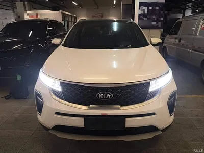 2019 Kia KX5 1.6T Automatic 2WD Luxury Edition, фото 3, лот 10337454