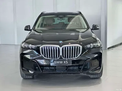 2023 BMW X5 xDrive 30Li Premium M Sport Black Night Package, фото 2, лот 11582853